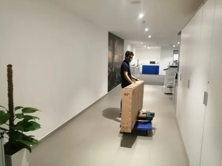 Project Gallery Image